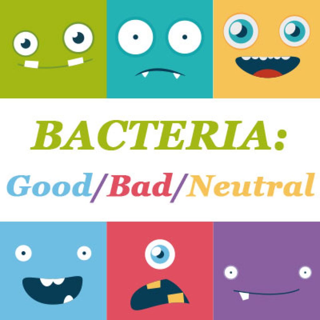 Types of Oral Bacteria in Salt Lake City Dr. Thomas Brickey