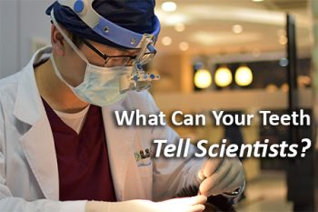 Salt Lake City dentist, Dr. Brickey at Natural Smiles Dentistry, tells patients what kind of information scientists have discovered by studying fossil teeth.