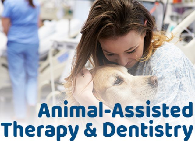 Animal-Assisted Therapy & Dentistry (featured image)