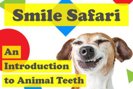 Smile Safari: An Introduction to Animal Teeth